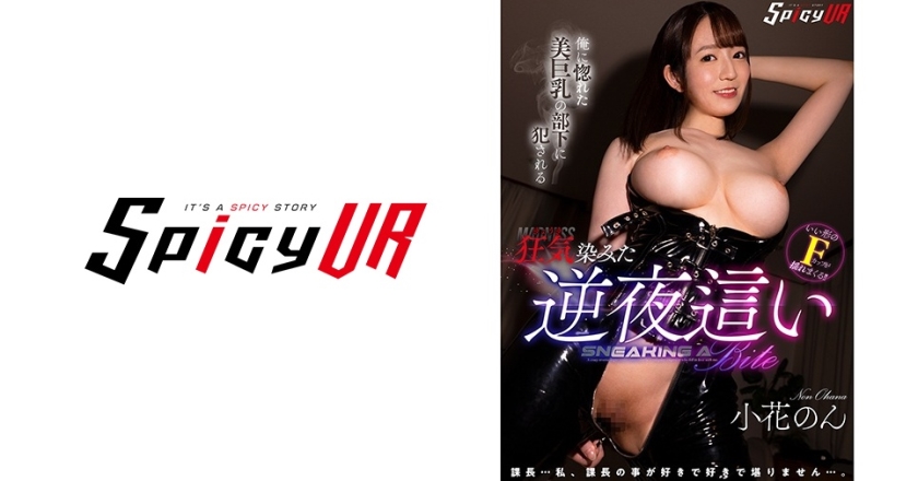 SPIVR-020 【VR】俺に惚れた美巨乳の部下に犯される狂気染みた逆夜●い 小花のん